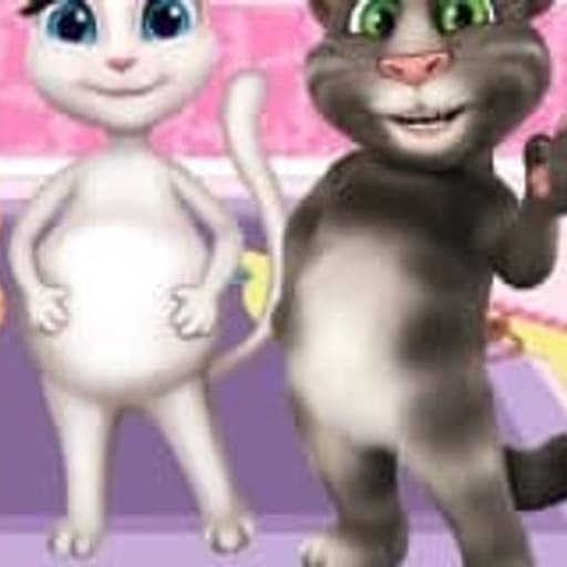 Preganat Kitty Room Decor