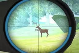 Hunter Training