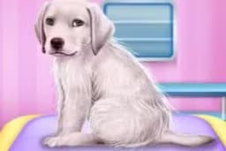 Labrador at the Doctor Salon