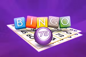 Bingo 75