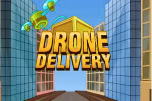 Drone Delivery