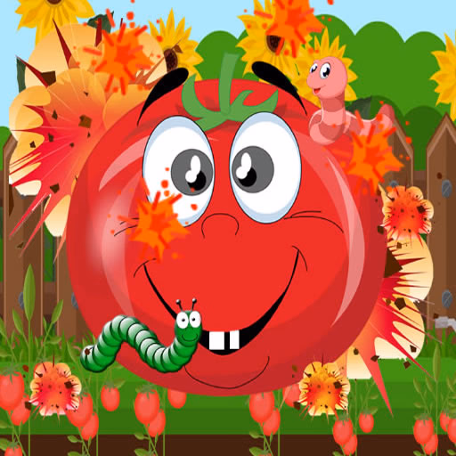 Tomato Explosion