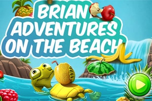 Brian Adventures On The Beach