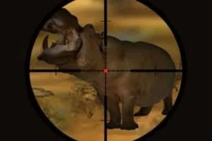 Classical Hippo Hunting