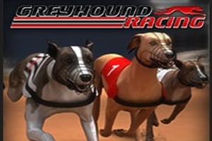 Greyhound Racing