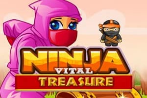 Ninja Vital Treasures