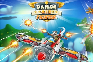 Panda Air Fighter