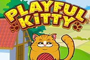 Playful Kitty Game