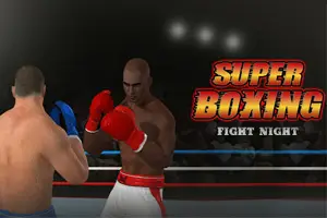 Super Boxing Fight Night